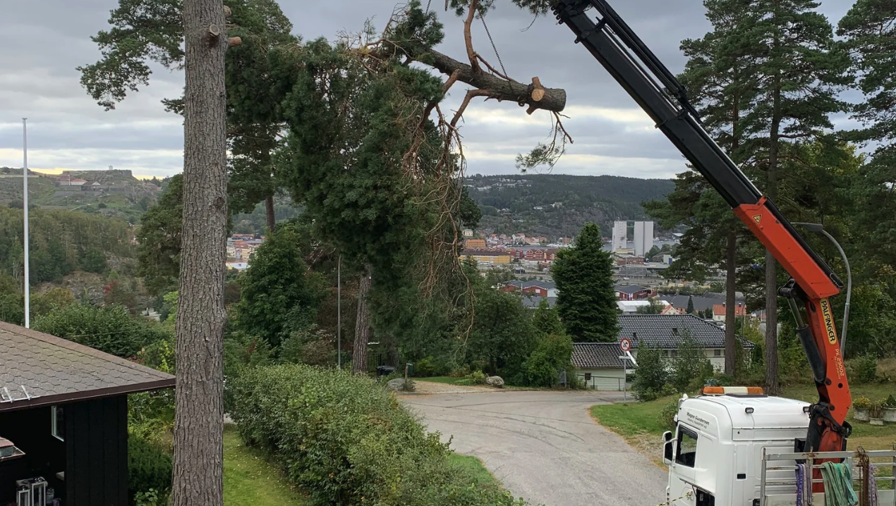 Kranbil løfter massive greiner