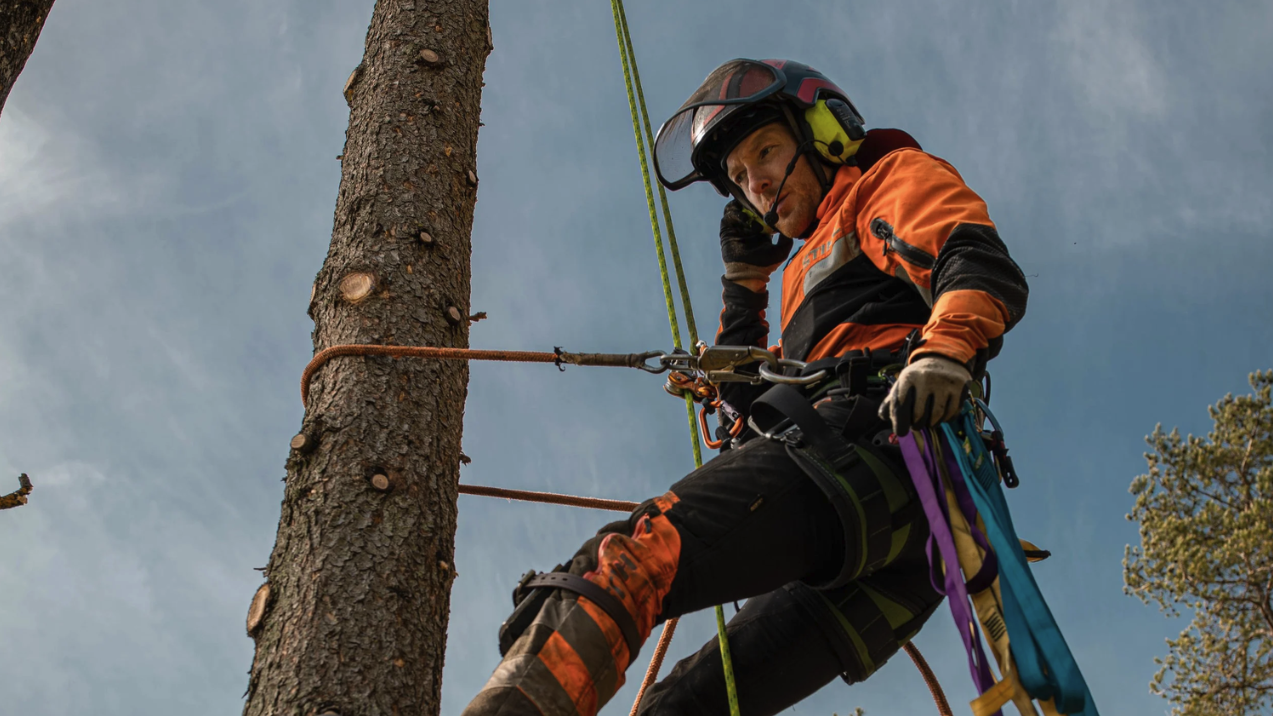 Arborist i sikkerhetsutstyr